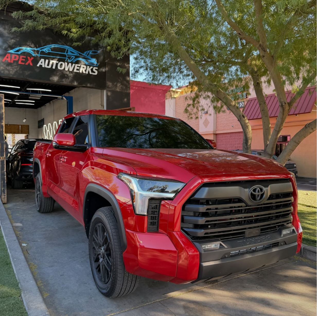 Apex Autowerks detailing work 2