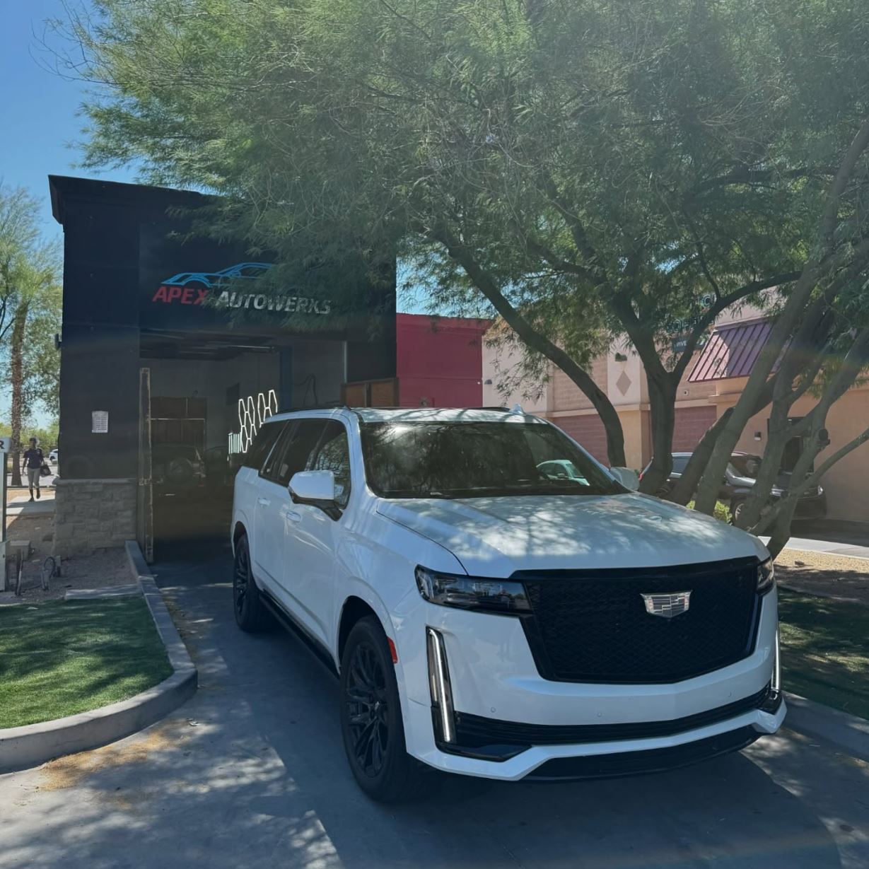 Apex Autowerks tint work 3