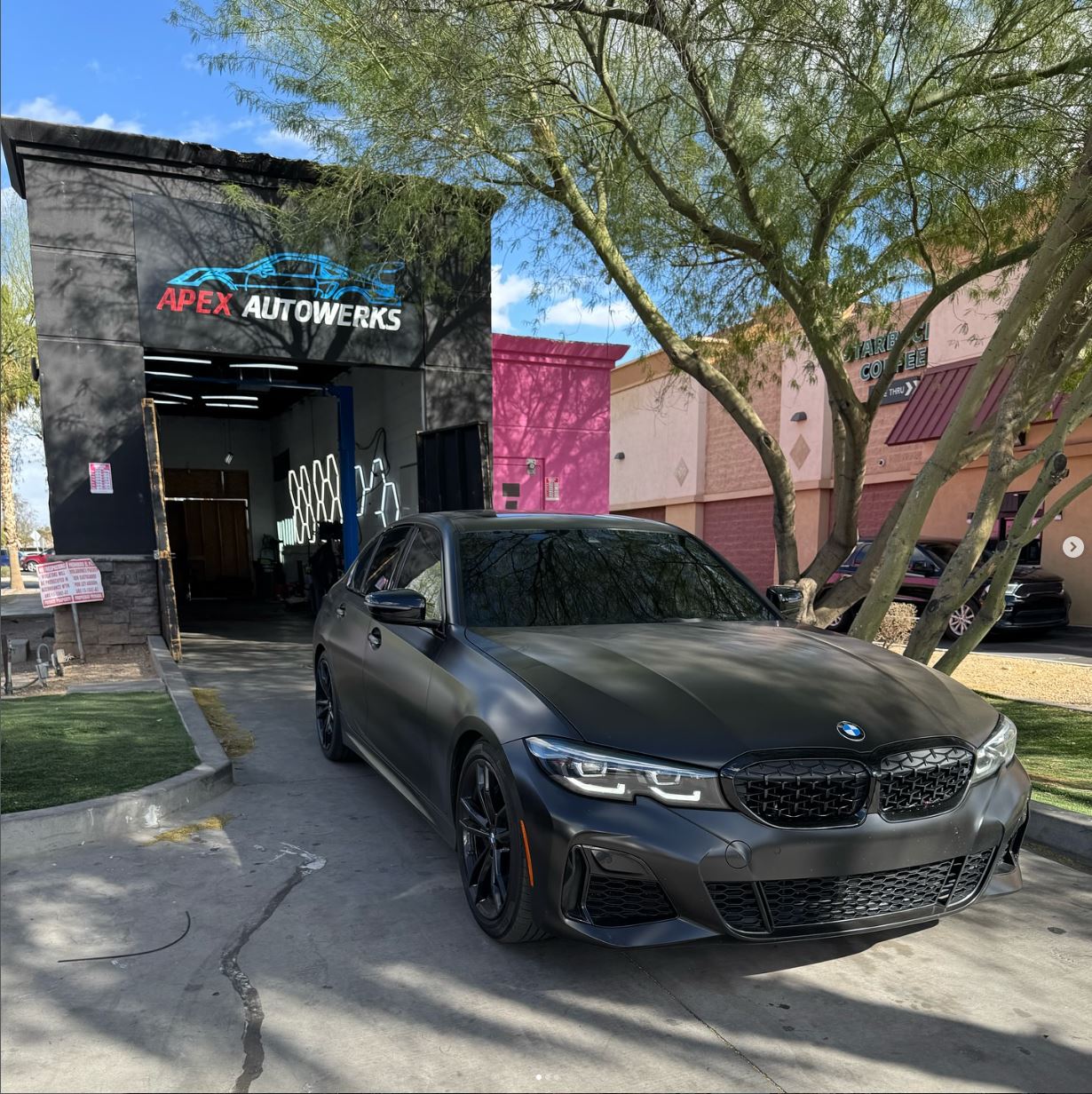 Apex Autowerks detailing work 3